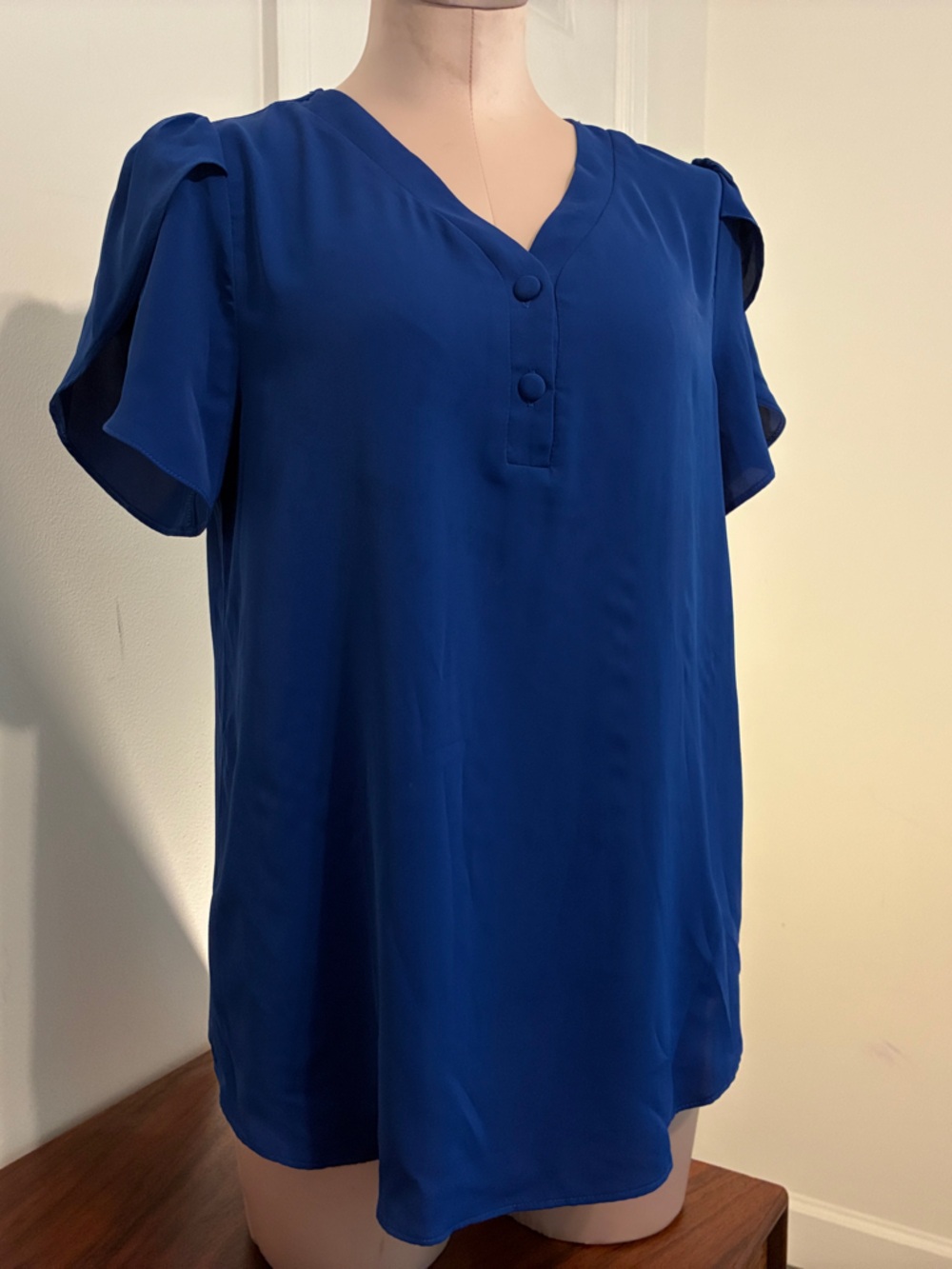 Size M Women's V-Neck Short Sleeve Blouse in Cobalt Blue in Polyester